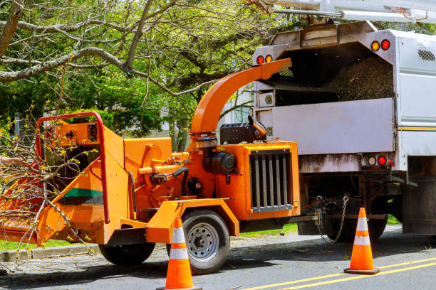 Tree Service Company in Mackinac Island, MI